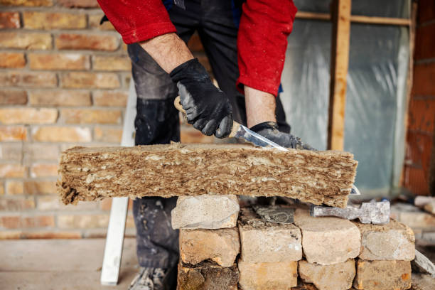 Best Professional Insulation Contractor  in Laurel Springs, NJ